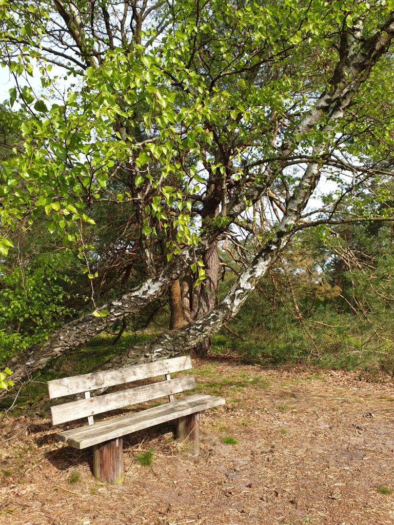 Retreat Auszeit Niedersachsen